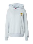 Frogbox Sweatshirt  pastelblå / gylden gul / grå / sort