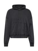 Abercrombie & Fitch Sweatshirt  sort