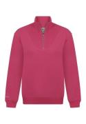 DENIM CULTURE Sweatshirt 'Tatiana'  grå / fuchsia