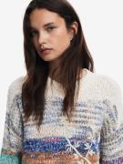 Desigual Pullover  stone / blandingsfarvet