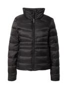 Superdry Vinterjakke 'Fuji'  sort