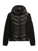 Superdry Overgangsjakke  sort