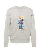 Polo Ralph Lauren Sweatshirt  marin / brun / grå-meleret / rød