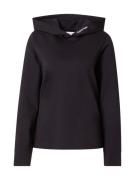 Calvin Klein Jeans Sweatshirt  sort / hvid