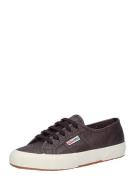 SUPERGA Sneaker low 'Lamew'  aubergine