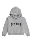 ABOUT YOU Sweatshirt 'Sydney'  grå-meleret