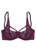 LASCANA BH  aubergine