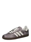 ADIDAS ORIGINALS Sneaker low 'Samba'  brombær / hvid