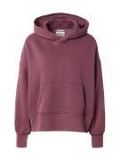 Abercrombie & Fitch Sweatshirt 'ESSENTIAL EAST/WEST'  vinrød