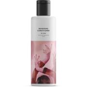 By Lyko Repairing Conditioner 250 ml