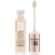 Catrice True Skin High Cover Concealer 005