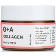 Q+A Collagen Face Cream  50 g