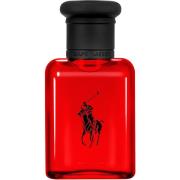 Ralph Lauren Polo Red Eau de Toilette 40 ml