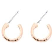 Dazzling Klassiker Creoler Classic Earrings Gold