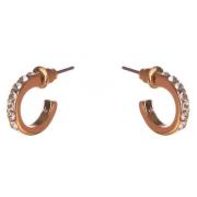 Dazzling Earrings Col Small Creole W Clear Crystals Gold