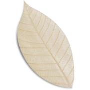 Stone Soap Spa Soap Leaves Silk