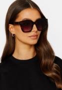 Corlin Eyewear Modena Black Black Gradual Brown One size