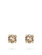 Classic Stud Earring Gold Accessories Jewellery Earrings Studs Gold Caroline Svedbom