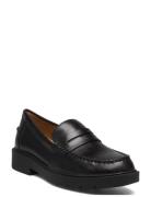 D Spherica Ec1 Loafers Flade Sko Black GEOX