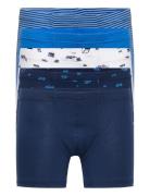 Shorts Night & Underwear Underwear Underpants Multi/patterned Schiesser