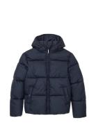 Puffer Winter Jacket With Hood Foret Jakke Navy Tom Tailor