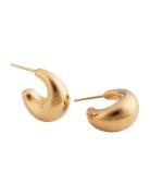 Bolded Little Sis Earrings Accessories Jewellery Earrings Hoops Gold Syster P