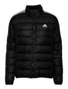 Essentials Down Jacket Foret Jakke Black Adidas Sportswear
