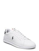 Leather/Grosgrain-Hrt Ct Ii-Sk-Ltl Low-top Sneakers White Polo Ralph Lauren