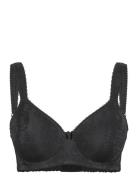 Adamo Basic Padded Wired Bra Lingerie Bras & Tops Full Cup Bras Black Swegmark