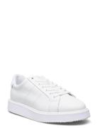 Angeline Iv Action Leather Sneaker Low-top Sneakers White Lauren Ralph Lauren