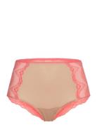 Lace Mesh Highwaist Briefs Lingerie Panties High Waisted Panties Coral Understatement Underwear