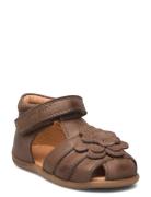 Starters™ Flower Velcro Sandal Shoes Summer Shoes Sandals Brown Pom Pom