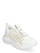 Elevate 1 Sneaker Low-top Sneakers Cream Steve Madden