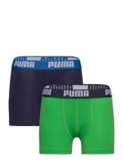 Puma Boys Basic Boxer 2P Night & Underwear Underwear Underpants Multi/patterned PUMA