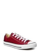 Chuck Taylor All Star Seasonal Sport Sneakers Low-top Sneakers Burgundy Converse