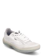 Shoe Adult Unisex Numeric Wid Sport Sneakers Low-top Sneakers White VANS