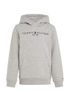 Essential Hoodie Tops Sweatshirts & Hoodies Hoodies Grey Tommy Hilfiger