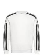 Sq21 Sw Top Sport Sweatshirts & Hoodies Sweatshirts White Adidas Performance