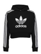 Adicolor Cropped Hoodie Tops Sweatshirts & Hoodies Hoodies Black Adidas Originals