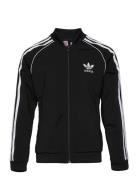 Adicolor Sst Track Top Tops Sweatshirts & Hoodies Sweatshirts Black Adidas Originals