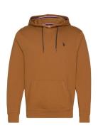 Uspa Sweatshirt Brayden Men Tops Sweatshirts & Hoodies Hoodies Brown U.S. Polo Assn.