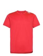 D4R Tee Men Sport T-Kortærmet Skjorte Red Adidas Performance