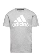 U Bl Tee Sport T-Kortærmet Skjorte Grey Adidas Sportswear