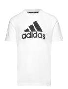 Lk Bl Co Tee Sport T-Kortærmet Skjorte White Adidas Sportswear