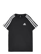 Lk 3S Co Tee Sport T-Kortærmet Skjorte Black Adidas Sportswear