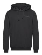 Tx Logo Hoody Sport Sweatshirts & Hoodies Hoodies Black Adidas Terrex