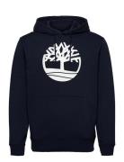Core Logo P/O Hood Bb Tops Sweatshirts & Hoodies Hoodies Navy Timberland