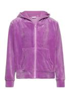 Nkflaral Ls Velour Card Wh Tops Sweatshirts & Hoodies Hoodies Purple Name It