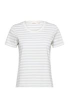 Elba Ss Tee Gots Tops T-shirts & Tops Short-sleeved White Basic Apparel