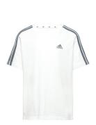 G 3S Bf T Sport T-Kortærmet Skjorte White Adidas Performance